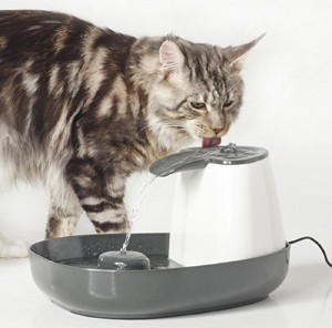 Cascade Trinkbrunnen für Katzen