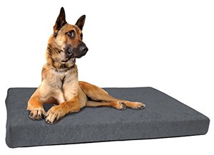 Dog Ortho Hundebett